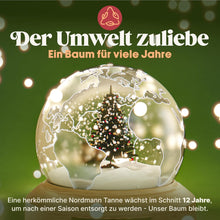 Lade das Bild in den Galerie-Viewer, Premium Weihnachtsbaum Künstlich 180Cm -TESTSIEGER - Naturgetreu, Dichte Zweige, Künstlicher Weihnachtsbaum Mit Holzständer Und Aufbewahrungstasche – Tannenbaum Künstlich Von Pure Living
