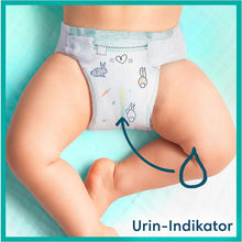 Lade das Bild in den Galerie-Viewer, Pampers Harmonie Baby Set Mit Windeln Größe 2 (4-8 Kg, 240 Stück) Und Größe 3 (6-10 Kg, 204 Stück), MONATSBOX, Baby Erstausstattung
